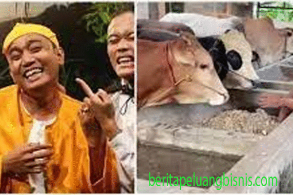 Aziz Gagap Dari Dunia Lawak Menuju Bisnis Ternak Aziz Gagap